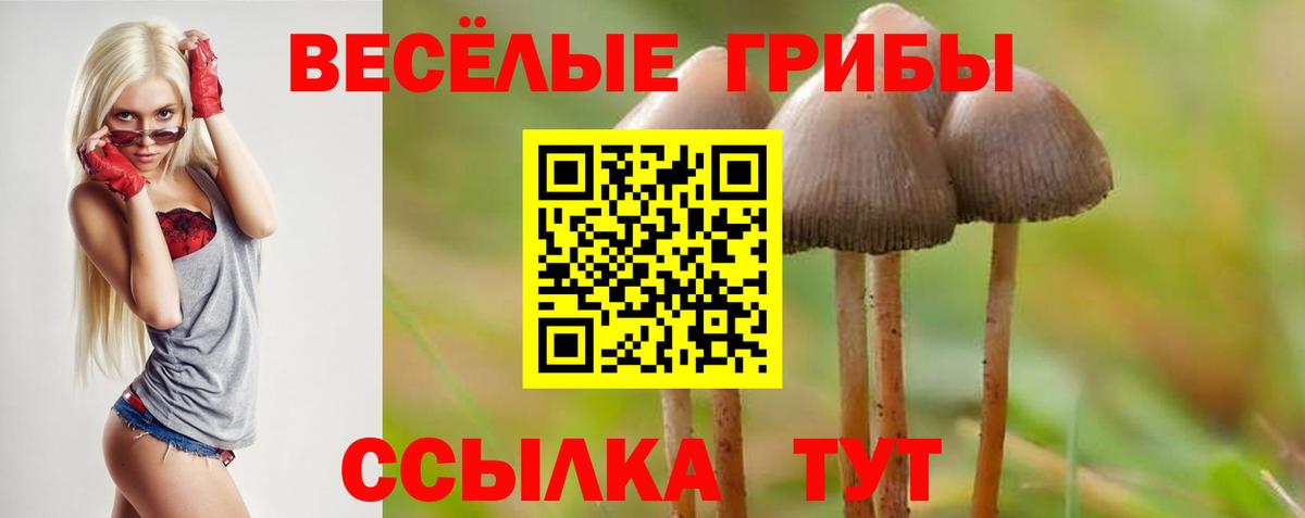 Псилоцибиновые грибы Cubensis Шелехов
