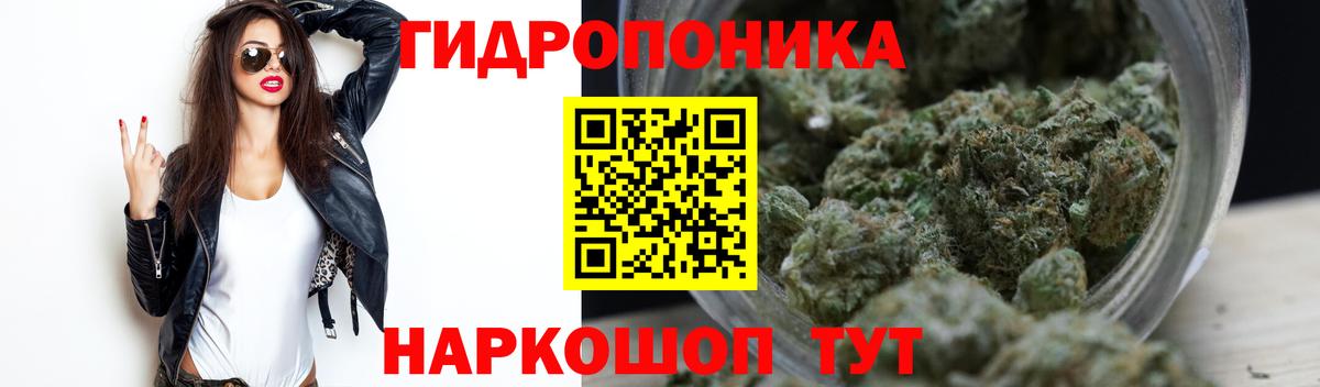 Конопля марихуана Шелехов